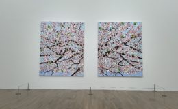 ダミアン・ハーストの桜の絵の写真